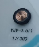 YJV-0.6/1  1*300