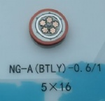 NG-A(BTLY)-0.6/1   6*16